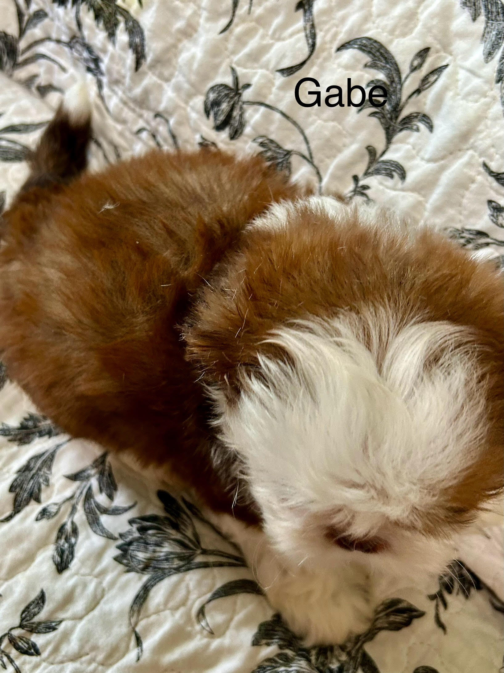 2025/june/gabe-from-above.jpg