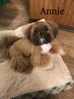 anniemom.png