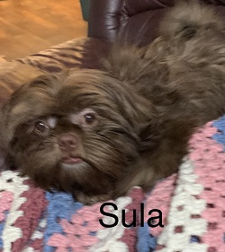 parents/sula.jpeg