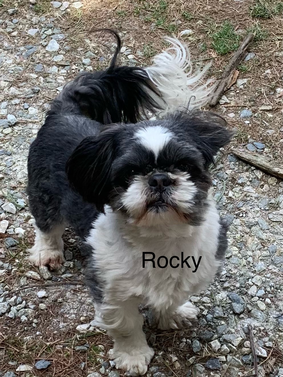 parents/rockydad.jpg