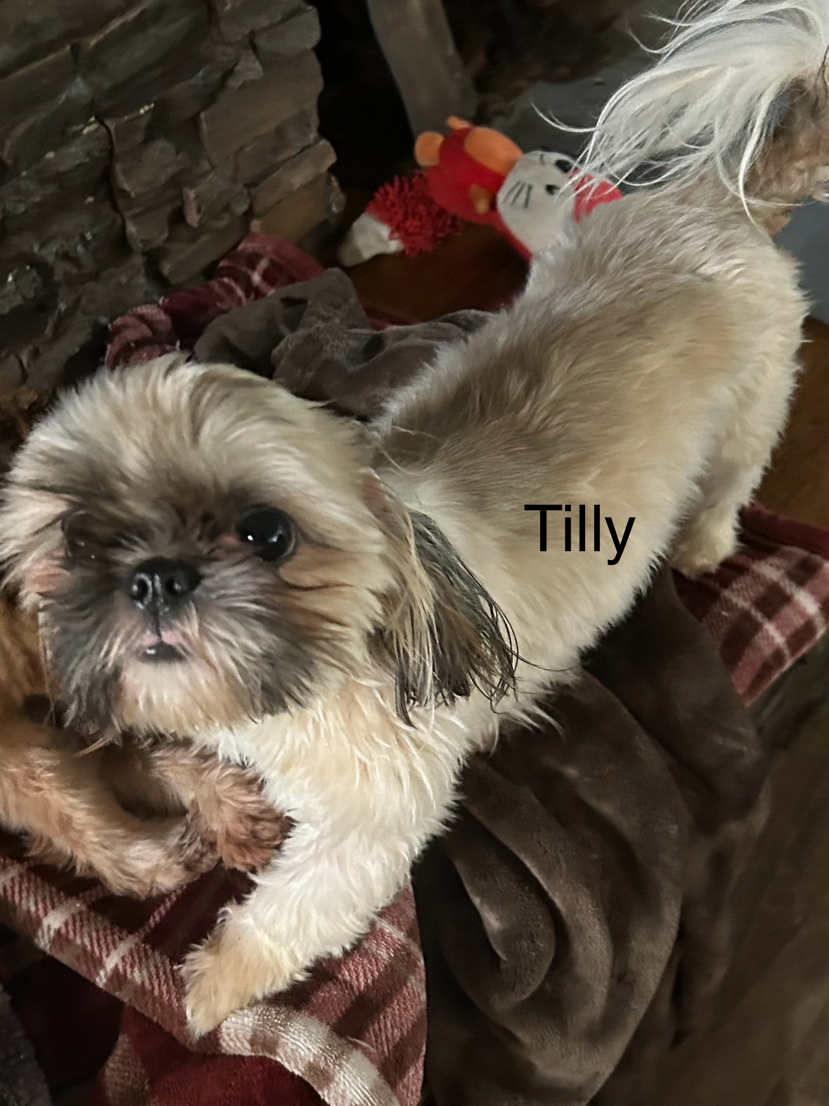 parents/tilly.jpg